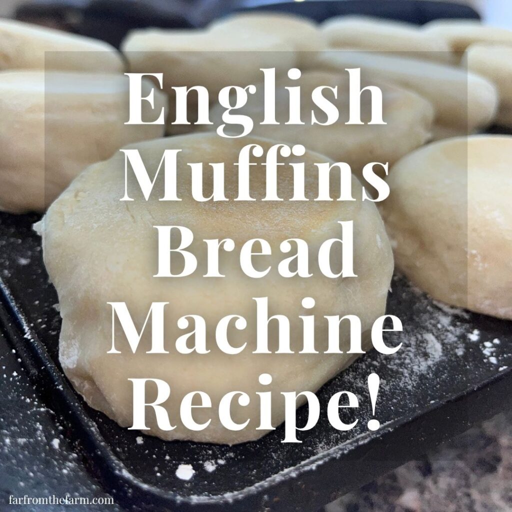 The Best Bread Machine English Muffins Recipe!