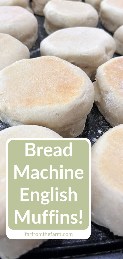 The Best Bread Machine English Muffins Recipe!