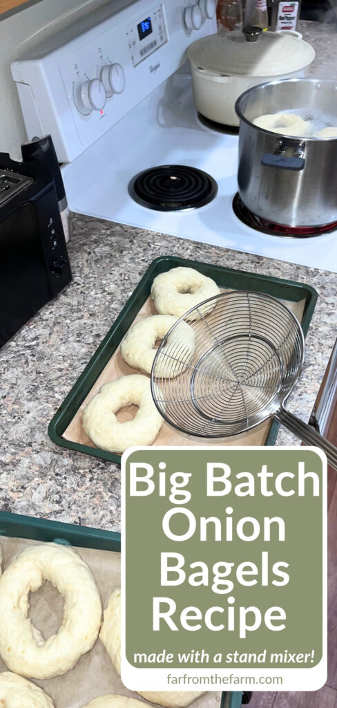 Easy Big Batch Onion Bagels Recipe Made With a Stand Mixer!