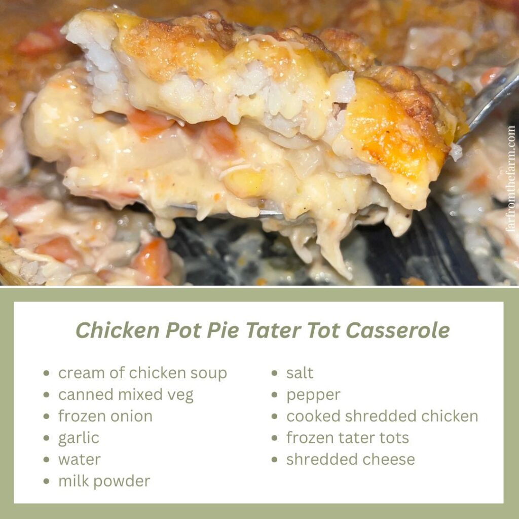 Easy pantry chicken pot pie using crispy tater tots as a substitute pie crust.