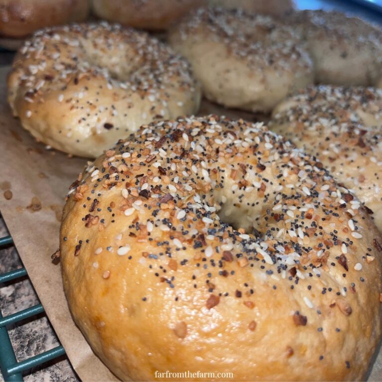 Easy Big Batch Onion Bagels Recipe Made With a Stand Mixer!