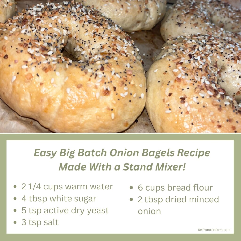 Easy Big Batch Onion Bagels Recipe Made With a Stand Mixer!