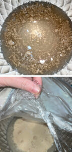 Easy Big Batch Onion Bagels Recipe Made With a Stand Mixer!