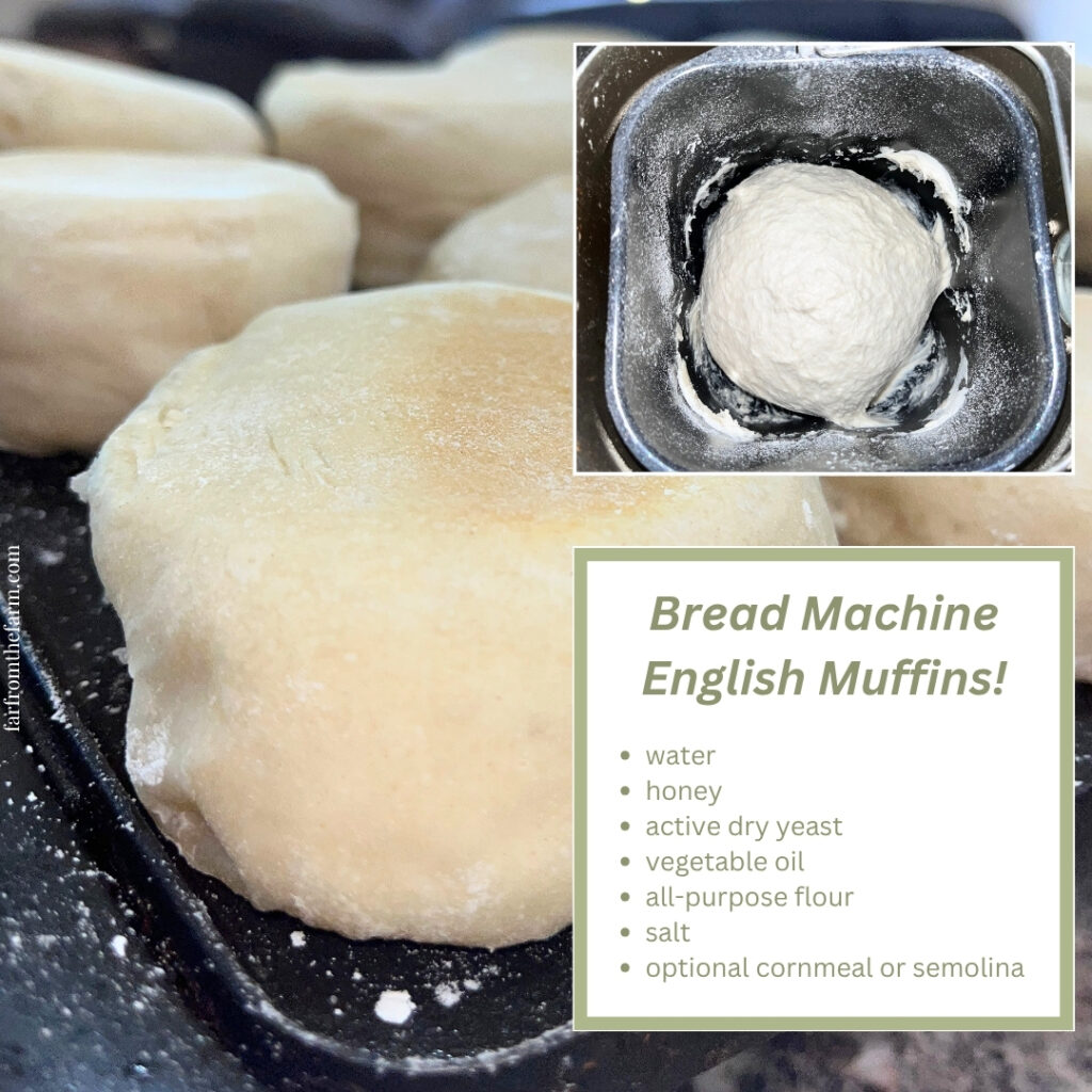 The Best Bread Machine English Muffins Recipe!