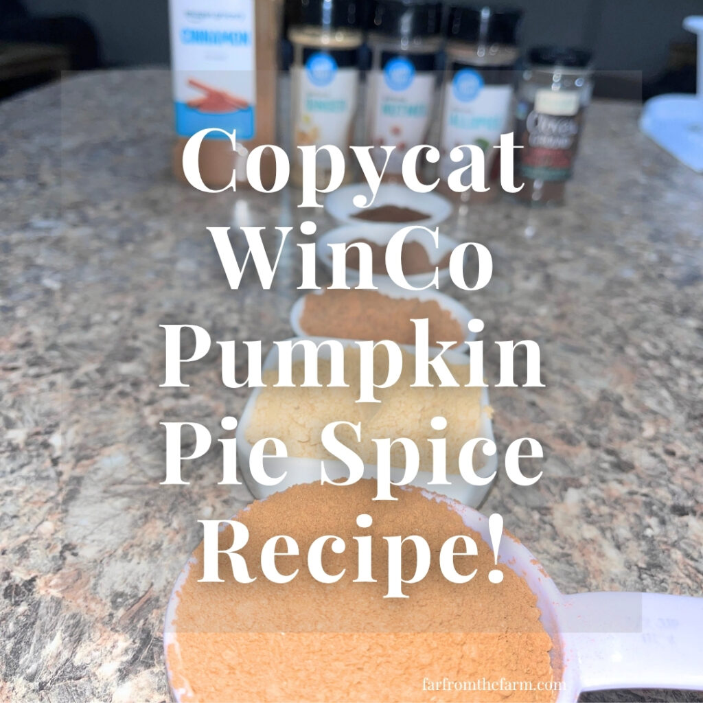 Copycat WinCo Pumpkin Pie Spice Recipe (Big Batch!)