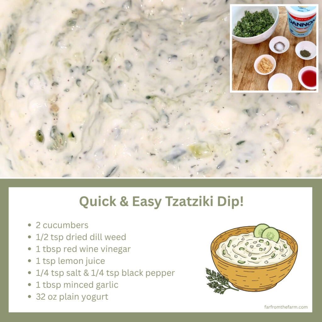 How to Make Thick, Creamy Quick Tzatziki Dip (That Never Goes Watery)