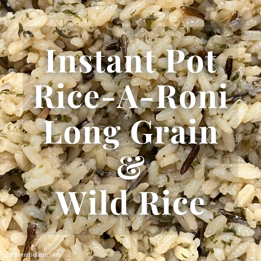 Instant Pot Rice-A-Roni Long Grain & Wild Rice