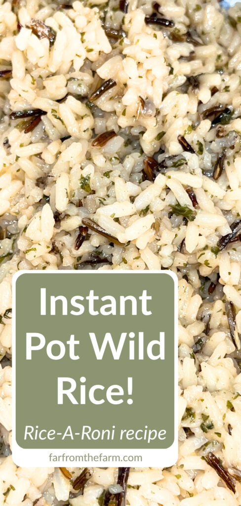 Instant Pot Rice-A-Roni Long Grain & Wild Rice