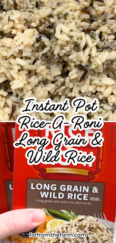 Instant Pot Rice-A-Roni Long Grain & Wild Rice