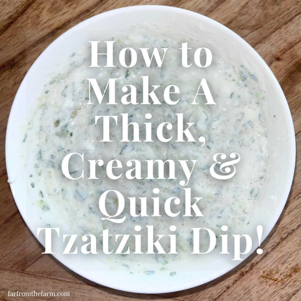 How to Make Thick, Creamy Quick Tzatziki Dip (That Never Goes Watery)