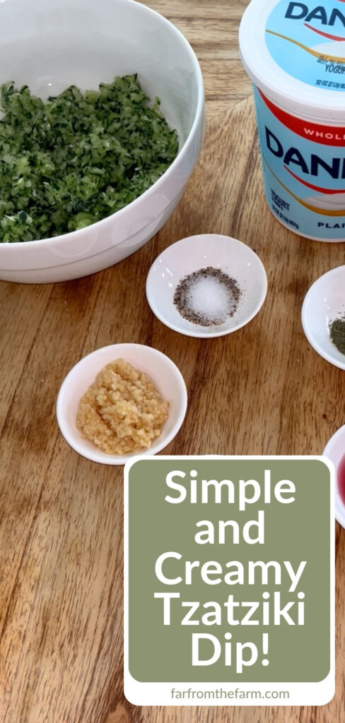 How to Make Thick, Creamy Quick Tzatziki Dip (That Never Goes Watery)