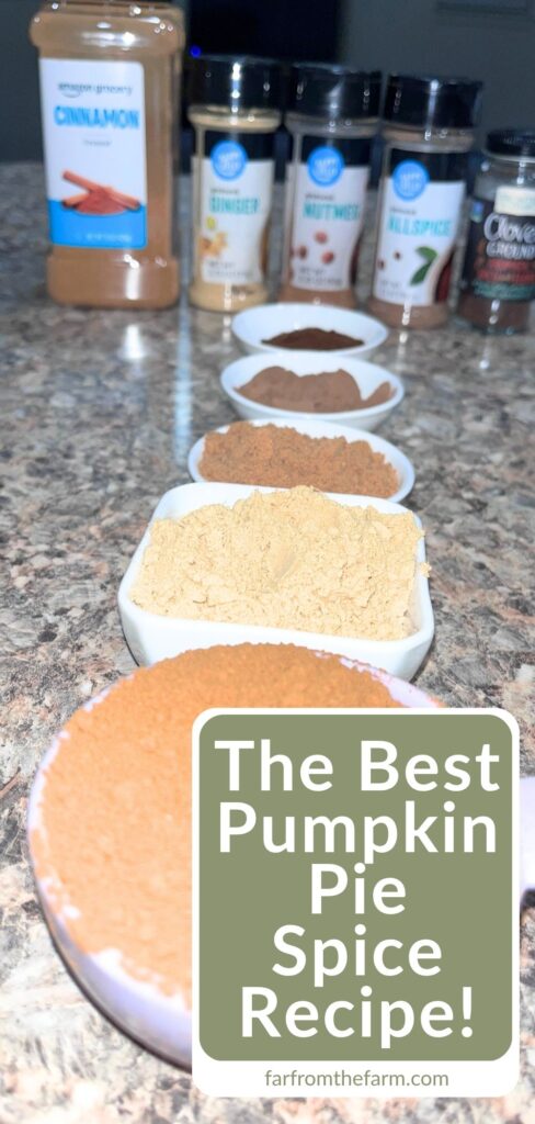 Copycat WinCo Pumpkin Pie Spice Recipe (Big Batch!)