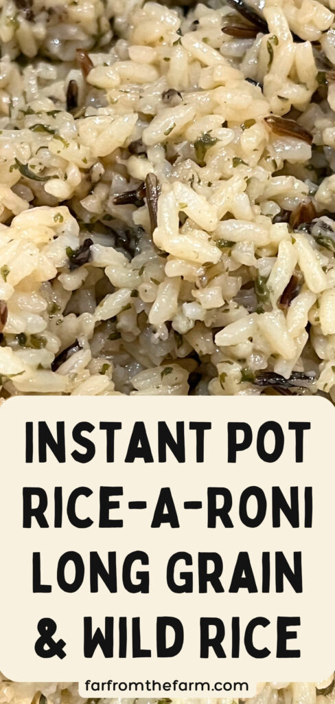 Instant Pot Rice-A-Roni Long Grain & Wild Rice
