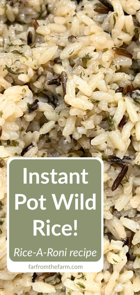 Instant Pot Rice-A-Roni Long Grain & Wild Rice
