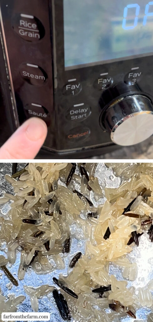 Instant Pot Rice-A-Roni Long Grain & Wild Rice