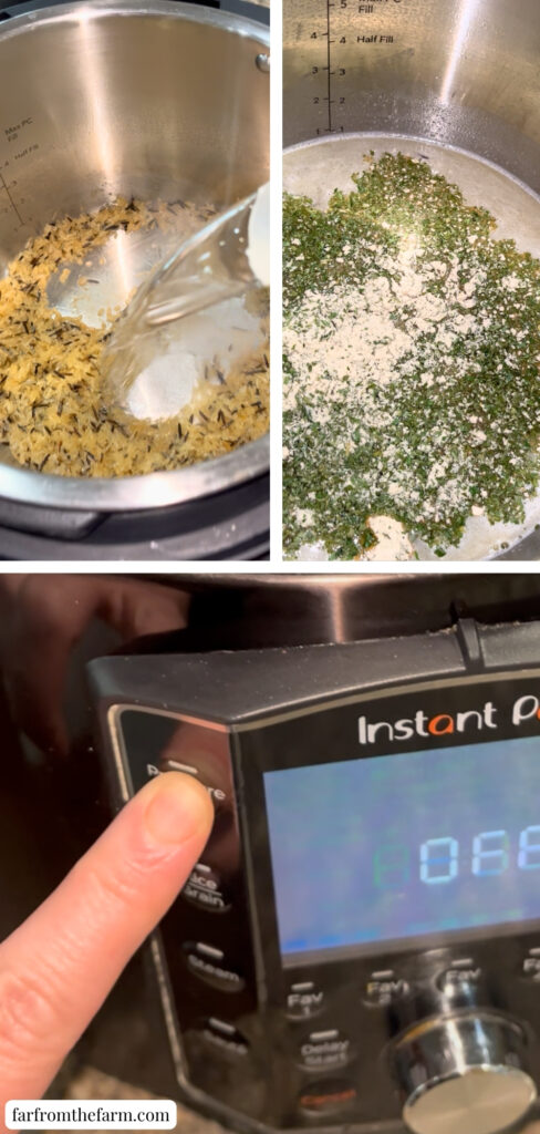 Instant Pot Rice-A-Roni Long Grain & Wild Rice