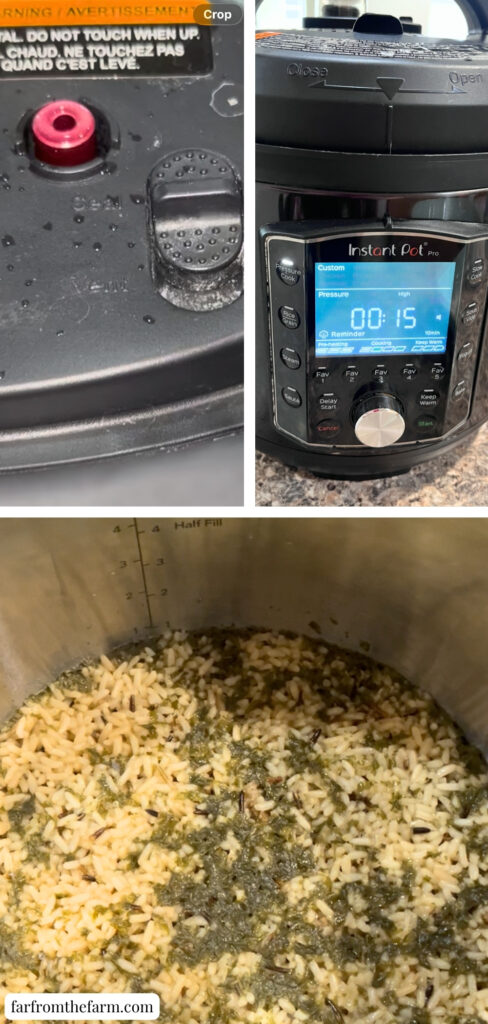 Instant Pot Rice-A-Roni Long Grain & Wild Rice