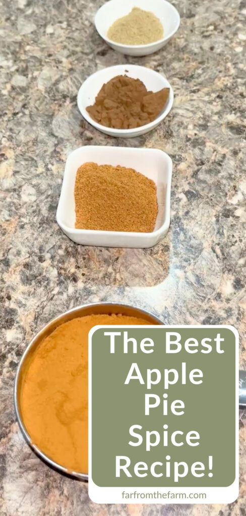 Copycat WinCo Apple Pie Spice Recipe (Big Batch!)