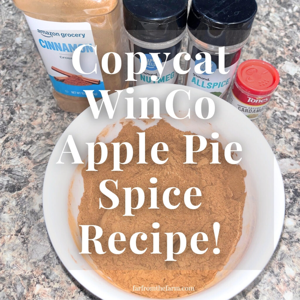 Copycat WinCo Apple Pie Spice Recipe (Big Batch!)