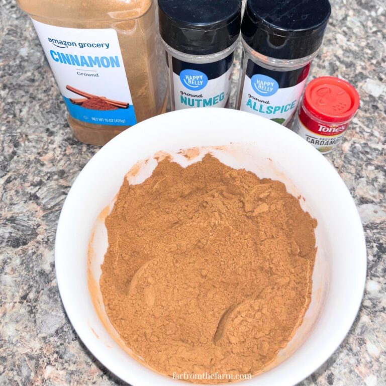 Copycat WinCo Apple Pie Spice Recipe (Big Batch!)